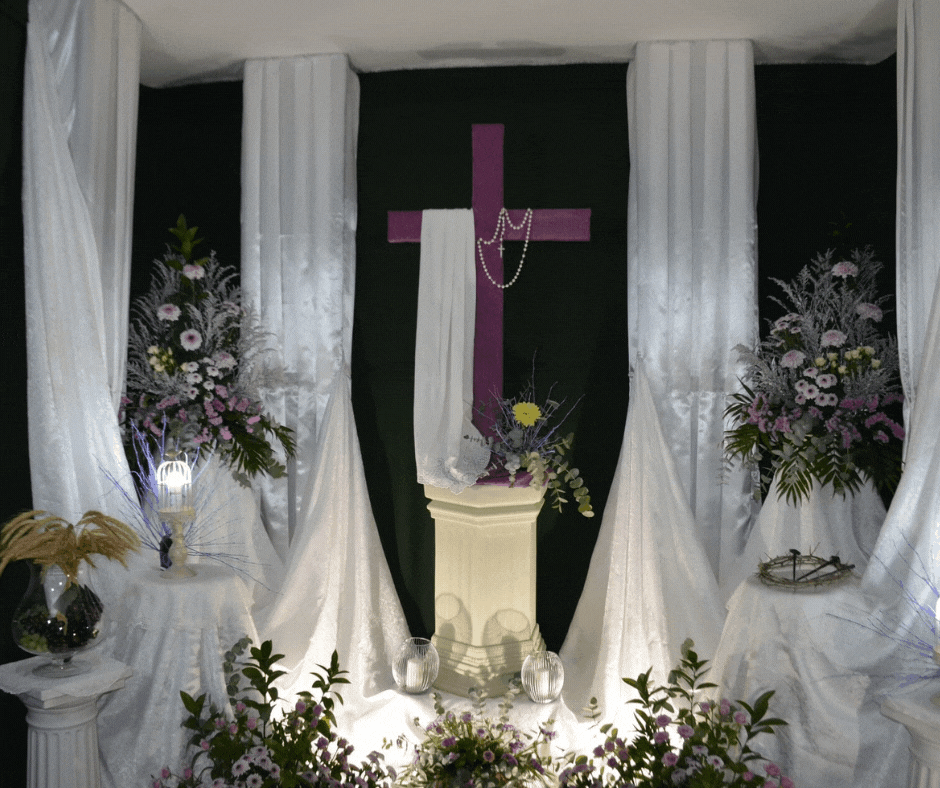 web fotos1